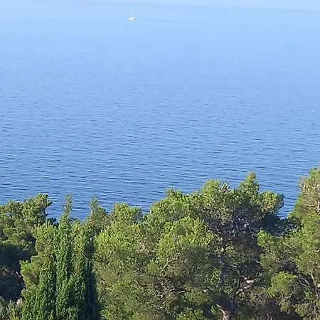 Berti * Sveta Nedelja (Hvar)